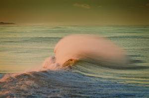 Morning Ocean Curl